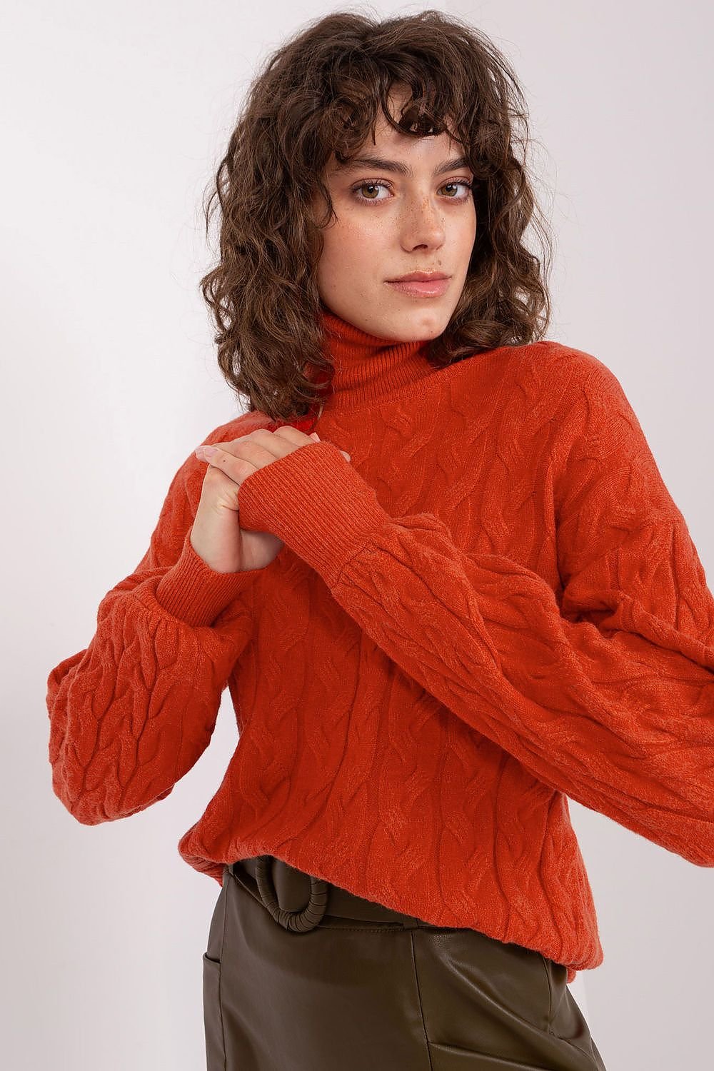 Turtleneck model 188309